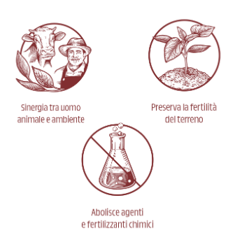 rachelli-biodinamico-teaser-ita