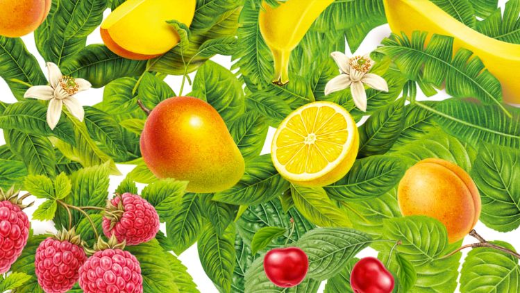 rachelli-biodinamico-header.jpg