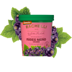 rachelli-products-sorbetto-ribes350.png